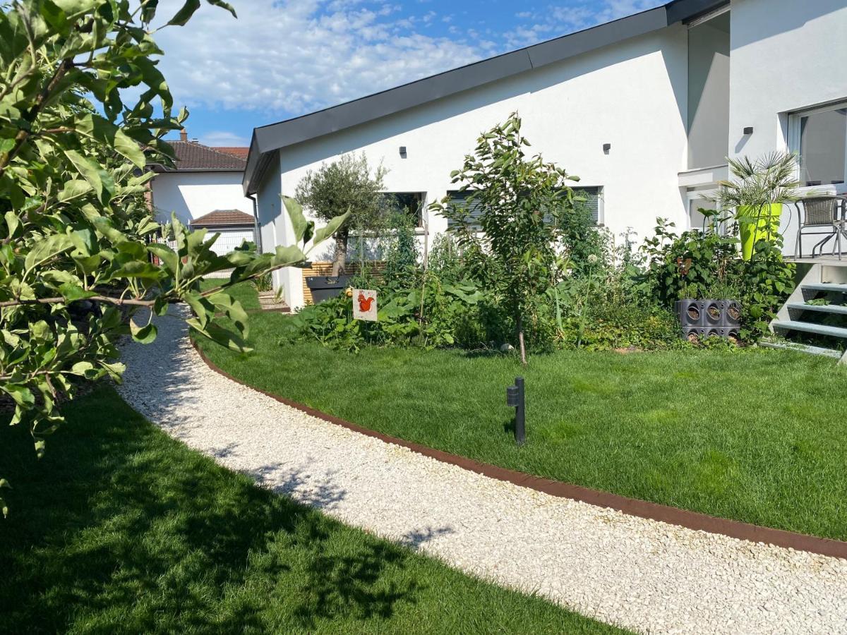 Le Clos Des Pommiers Uffholtz Esterno foto